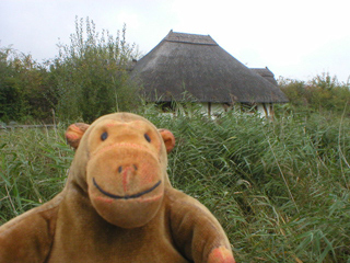 Mr Monkey looking at a thatched hut
