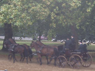 A carriage and four on Rotten Row