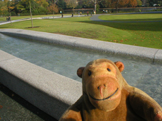 Mr Monkey looking at the section of the fountain where the water rises