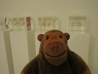 Mr Monkey looking at SENSE by Annie Cattrell