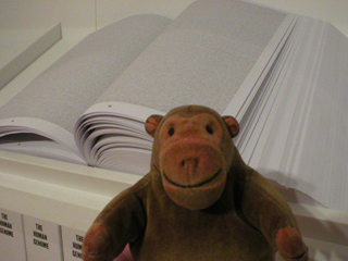 Mr Monkey looking at a human genome print out