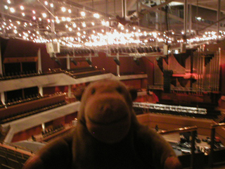 Mr Monkey looking at the auditorium roof from the gallery