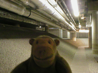 Mr Monkey in the undercroft of the Bridgewater Hall