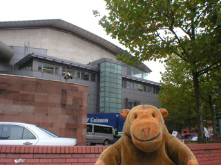 Mr Monkey looking along the coast from the fort