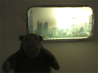 Mr Monkey looking at one of Anthony Key's Takeaway Lights