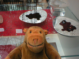 Mr Monkey looking at Selina Campbell's segment vessels