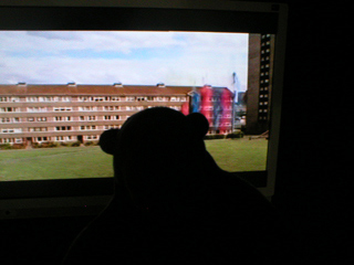 Mr Monkey watching the Sony 'Paint' advert