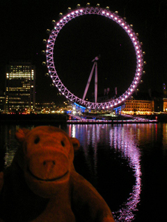 Mr Monkey looking at the London Eye at night