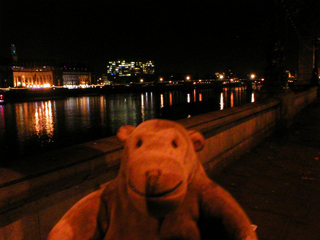 Mr Monkey looking at Westminster Bridge by night