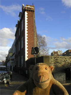 Mr Monkey looking at the end house of South Terrace