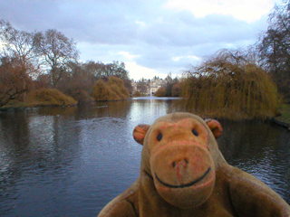 Mr Monkey looking across the lake in St James's Park