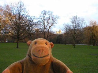 Mr Monkey looking towards Parliament from St James's Park