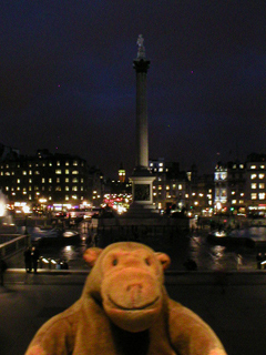 Mr Monkey looking at Trafalgar Square by night