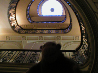 Mr Monkey looking up the stairwell of the Courtauld Gallery