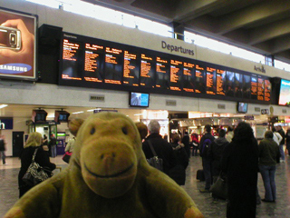 Mr Monkey checking train times in Euston station