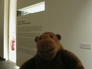 Mr Monkey looking at the panel about the exhibition
