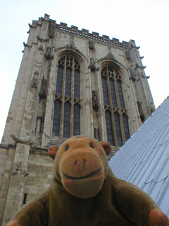 Mr Monkey looking at the central tower of York Minster
