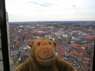 Mr Monkey looking South from the tower of York Minster
