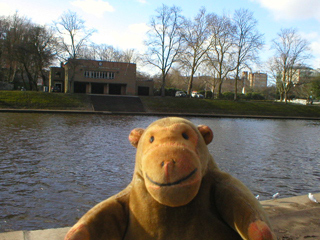 Mr Monkey looking at the York Rowing Club boathouse