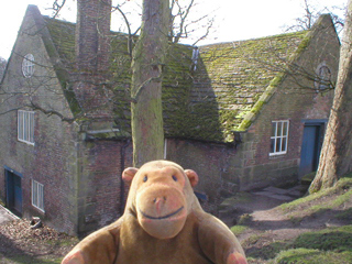 Mr Monkey looking at Dunham Massey watermill