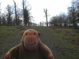 Mr Monkey walking towards an obelisk