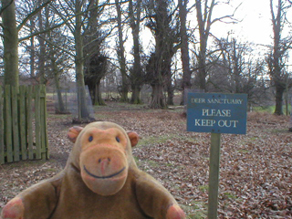 Mr Monkey looking at the deer sanctuary
