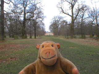 Mr Monkey looking down a drive to the house