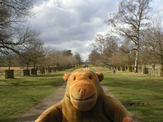 Mr Monkey looking down the carriage drive to Dunham Hall