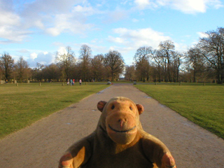 Mr Monkey looking down the main drive