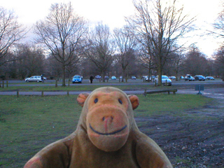 Mr Monkey looking at the carpark at Dunham Massey