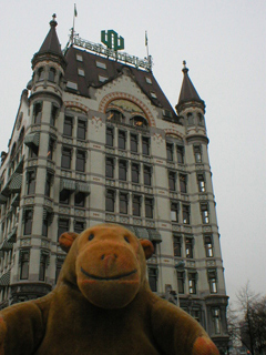 Mr Monkey looking up at the Wittehuis