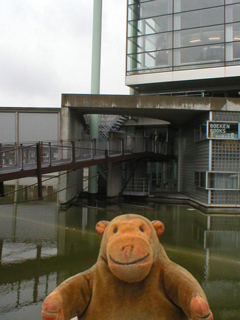 Mr Monkey looking at the walkway into the NAI