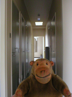 Mr Monkey looking along the second floor corridor