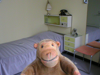 Mr Monkey looking around the younger daughter's bedroom
