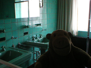 Mr Monkey looking at basins in the main bathroom