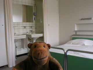 Mr Monkey looking around the guest bedroom