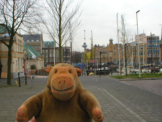 Mr Monkey looking across the Veerhaven towards the Euromast