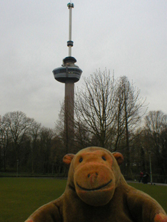 Mr Monkey looking at the Euromast over the trees