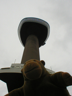 Mr Monkey looking up at the Euromast