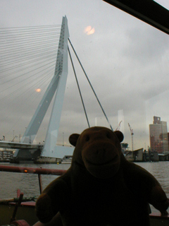 Mr Monkey looking up at the Erasmusbrug