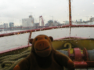 Mr Monkey looking through the rain at the Willemsbrug