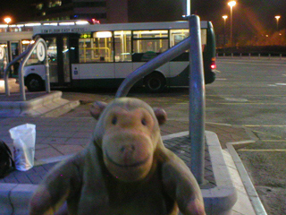 Mr Monkey waiting for a bus