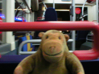 Mr Monkey aboard a Skyline bus