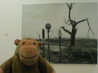 Mr Monkey looking at Silent by Mao Yan Yang