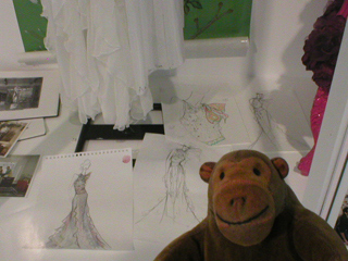 Mr Monkey looking at some of Williamson's sketches