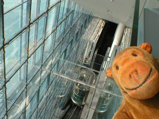 Mr Monkey looking down the lift track to see the rising elevator
