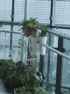 A double sided planter atop the railings