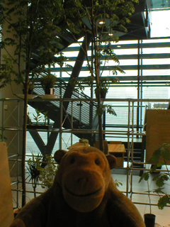 Mr Monkey looking at trees for urban planting