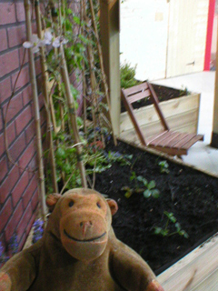 Mr Monkey looking at planters used in the winning design
