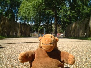Mr Monkey in the garden of Bedford Square